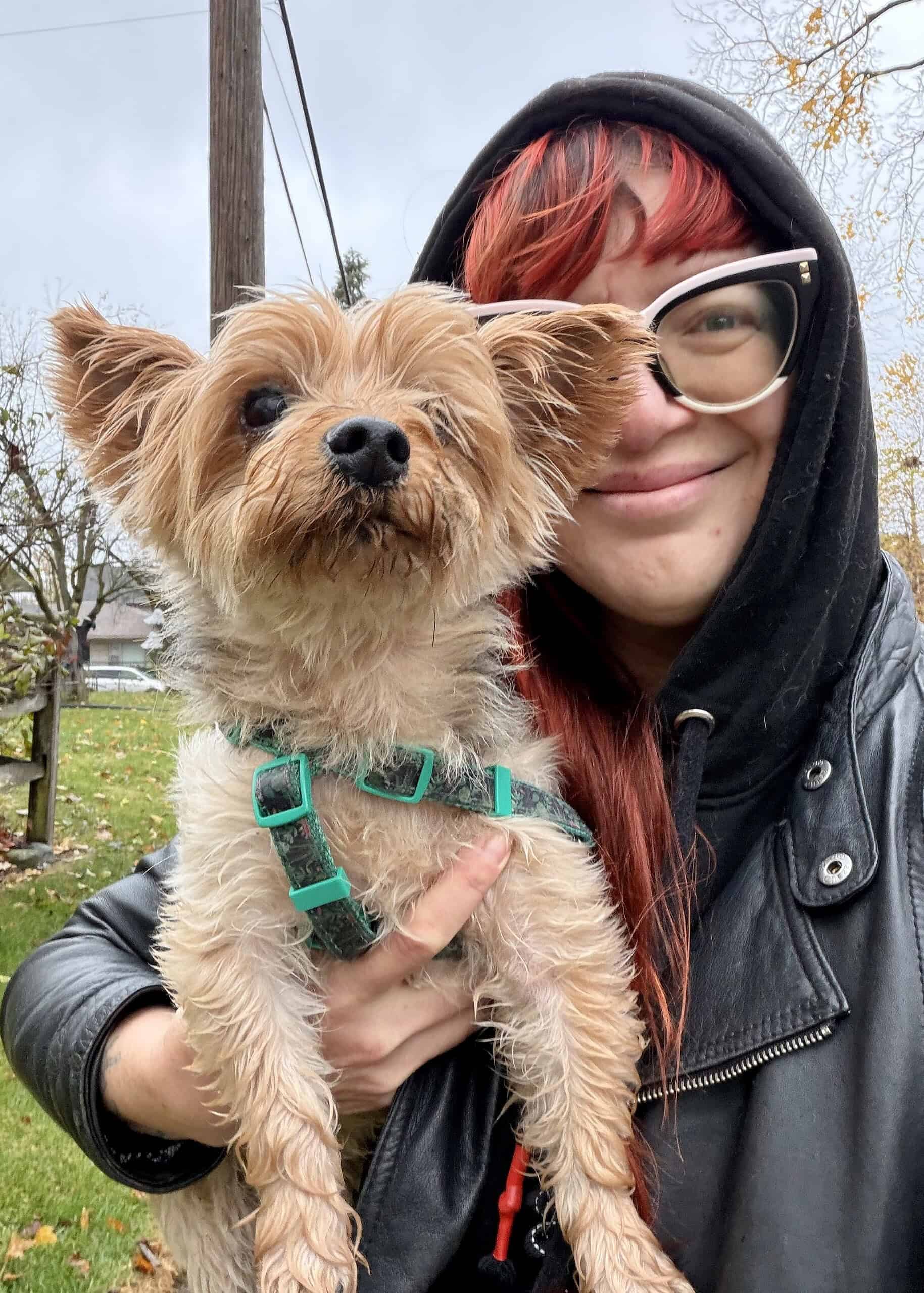 woman carrying harness-wearing dog