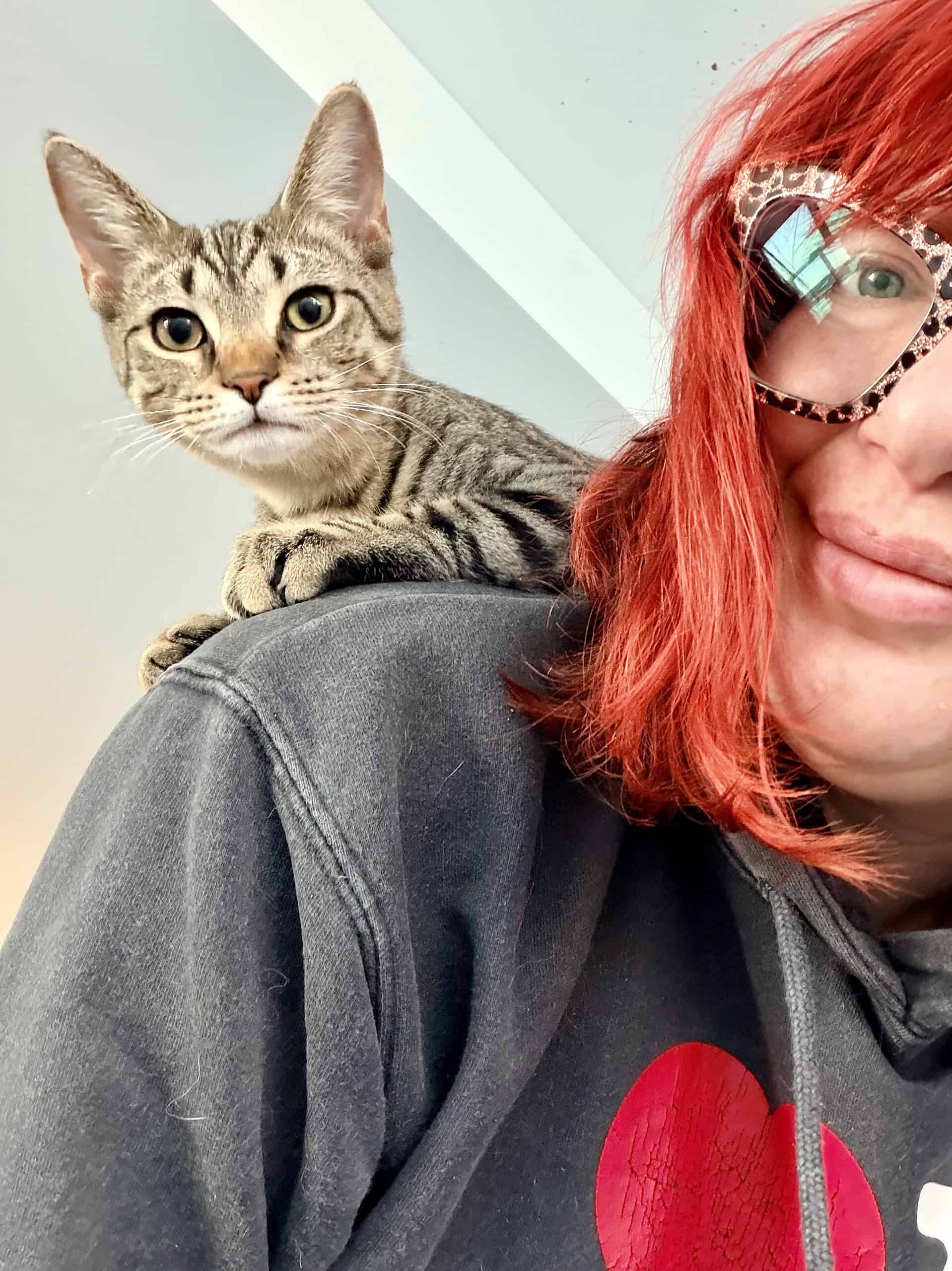 Kitten sitting on the shoulder of a woman wearing glasses.