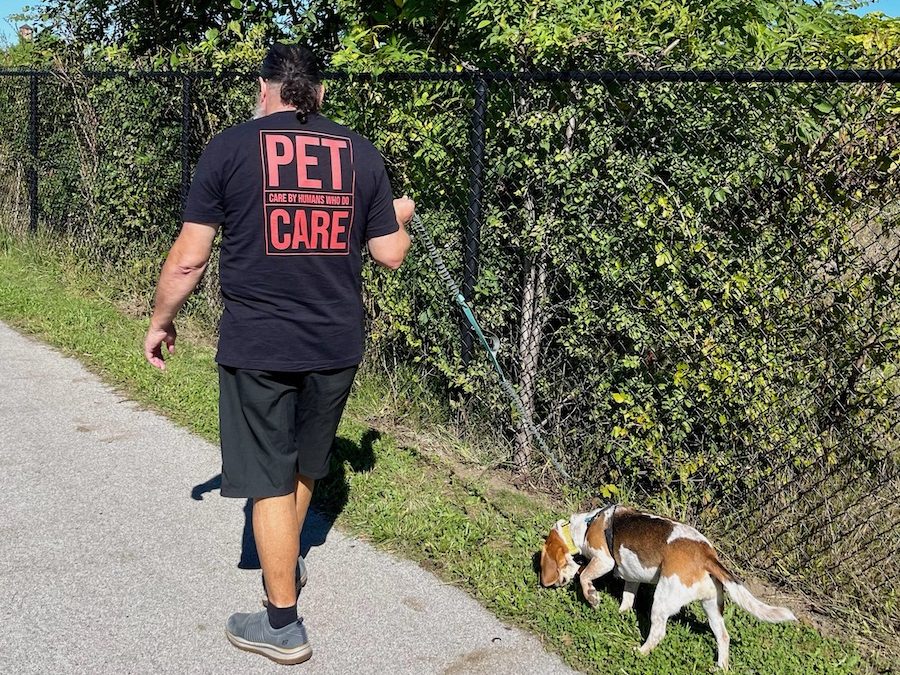 Spring Safety for Dogs in Indianapolis: Allergies, Storms & More