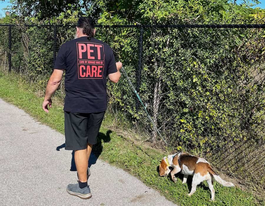 Spring Safety for Dogs in Indianapolis: Allergies, Storms & More