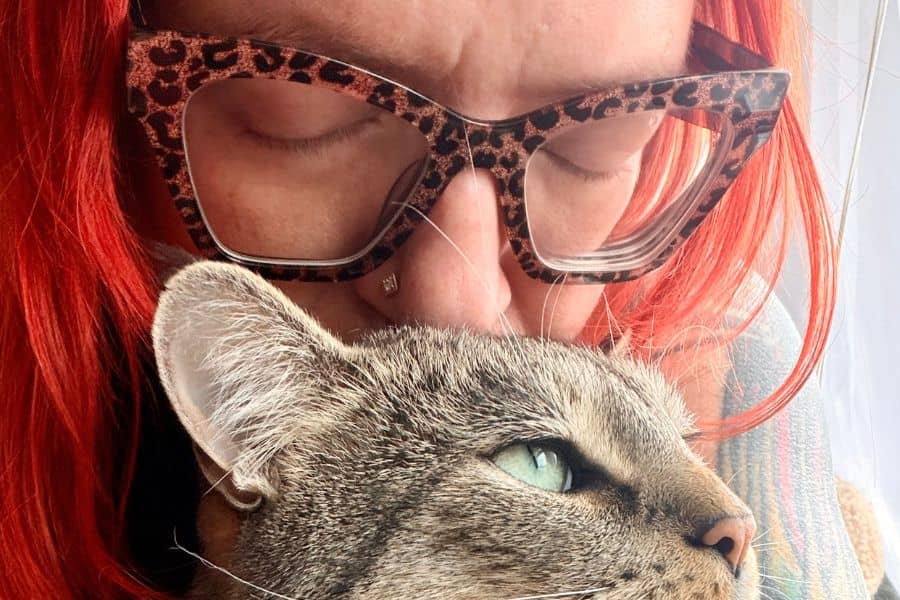 Why Cats Deserve 5-Star Care The Case for Premium Cat Sitting