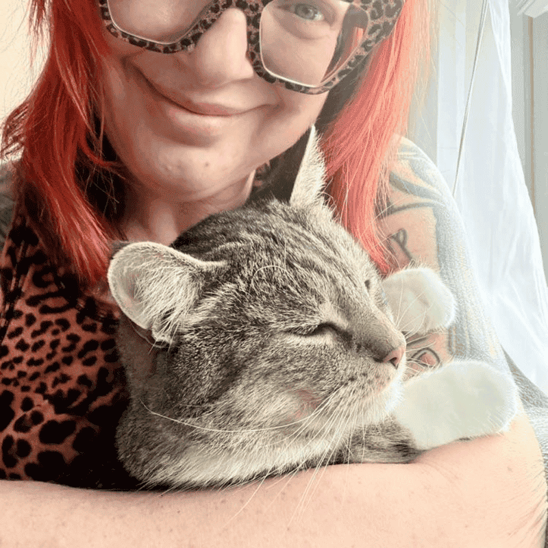 Downtown Indianapolis Pet Care Services Cat Care